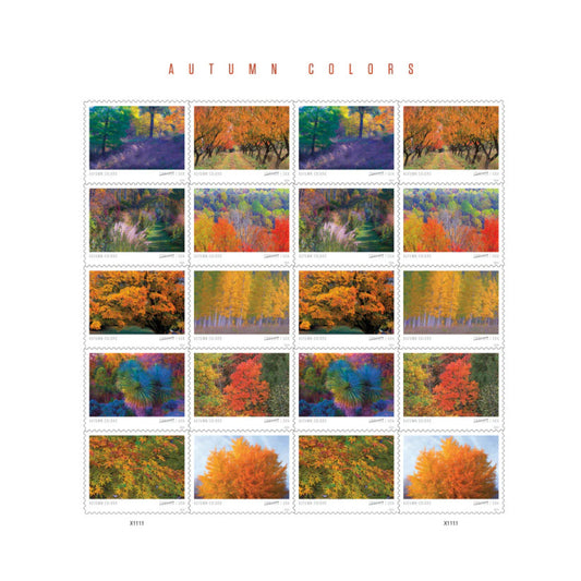 2024 Autumn Colors Stamps Forever First Class Postage Stamps